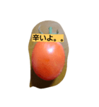 tomato to tomato（個別スタンプ：5）