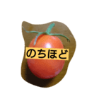 tomato to tomato（個別スタンプ：8）
