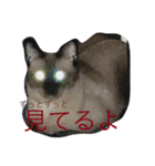 ぶちゃとらん（個別スタンプ：3）