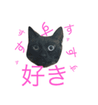 ぶちゃとらん（個別スタンプ：9）