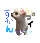 ゴマとはな2（個別スタンプ：6）