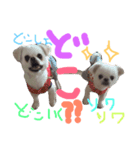 ゴマとはな2（個別スタンプ：7）