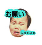 行け！行け！コハクさん 2（個別スタンプ：37）