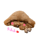 モッチ1（個別スタンプ：3）