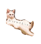いそべ もち（個別スタンプ：3）