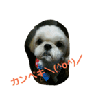 many  sizu  2（個別スタンプ：1）