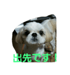 many  sizu  2（個別スタンプ：9）