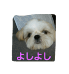 many  sizu  2（個別スタンプ：14）