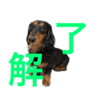 ミーナの一言（個別スタンプ：2）