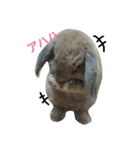ジヨンです￣(=∵=)￣（個別スタンプ：1）