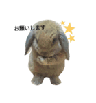 ジヨンです￣(=∵=)￣（個別スタンプ：2）