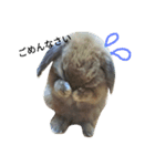 ジヨンです￣(=∵=)￣（個別スタンプ：5）