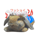 ジヨンです￣(=∵=)￣（個別スタンプ：7）