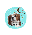れいちぇるスタンプ（個別スタンプ：2）