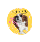 れいちぇるスタンプ（個別スタンプ：7）