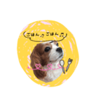 れいちぇるスタンプ（個別スタンプ：8）