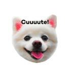 ミルク！（個別スタンプ：1）
