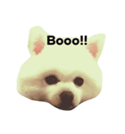 ミルク！（個別スタンプ：3）