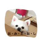 ミルク！（個別スタンプ：4）
