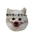 ミルク！（個別スタンプ：7）