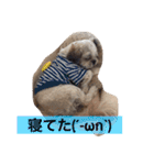 ライちゃん①（個別スタンプ：2）