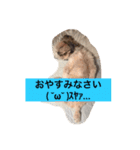 ライちゃん①（個別スタンプ：3）