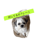 ライちゃん①（個別スタンプ：5）