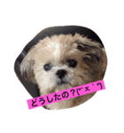 ライちゃん①（個別スタンプ：6）