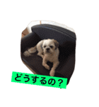 ライちゃん①（個別スタンプ：8）