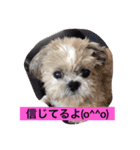 ライちゃん①（個別スタンプ：17）