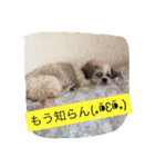 ライちゃん①（個別スタンプ：19）