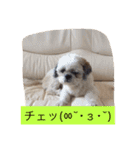 ライちゃん①（個別スタンプ：20）