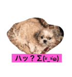 ライちゃん①（個別スタンプ：21）