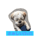 ライちゃん①（個別スタンプ：23）