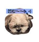 ライちゃん①（個別スタンプ：25）