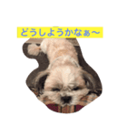 ライちゃん①（個別スタンプ：29）