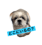 ライちゃん①（個別スタンプ：33）