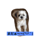 ライちゃん①（個別スタンプ：34）