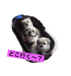 ライちゃん①（個別スタンプ：37）