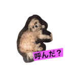 ライちゃん①（個別スタンプ：39）