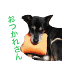 Puru obaachan（個別スタンプ：5）