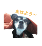 Puru obaachan（個別スタンプ：6）