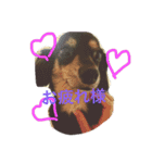 ririta！2！（個別スタンプ：1）