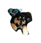 ririta！2！（個別スタンプ：2）