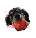ririta！2！（個別スタンプ：3）