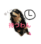 ririta！2！（個別スタンプ：4）