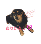 ririta！2！（個別スタンプ：6）