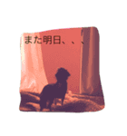 ririta！2！（個別スタンプ：10）