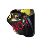 ririta！2！（個別スタンプ：11）