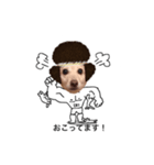 むっくんまりもの日常（個別スタンプ：1）
